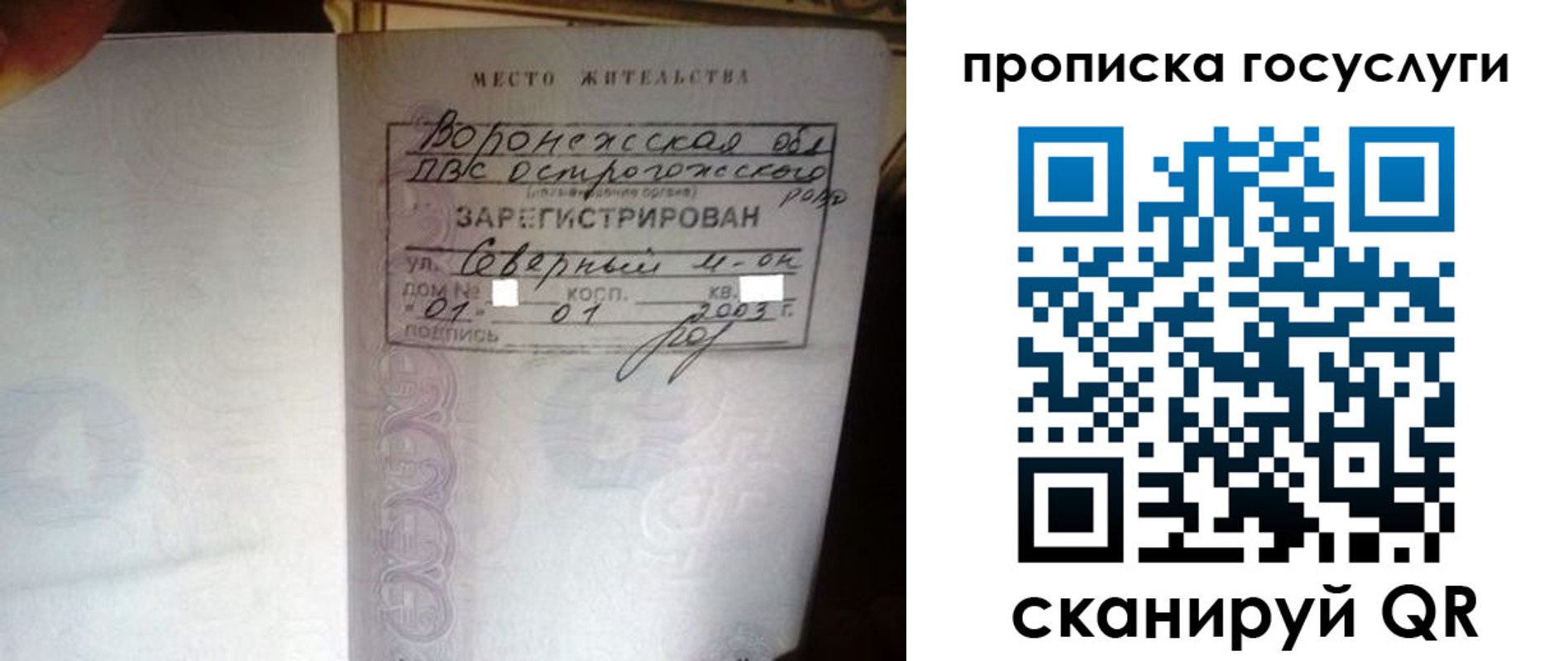 прописка законно в Марий Эл