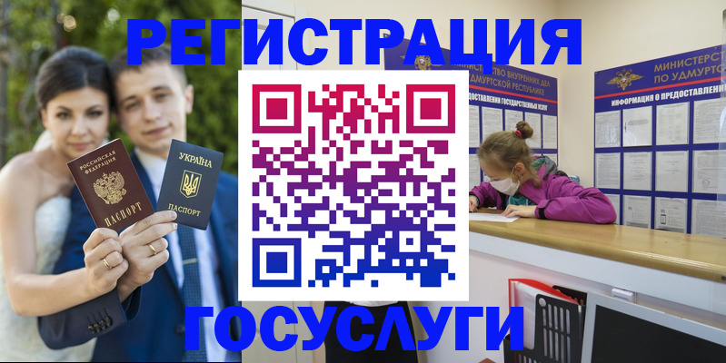 прописка поиск в Марий Эл